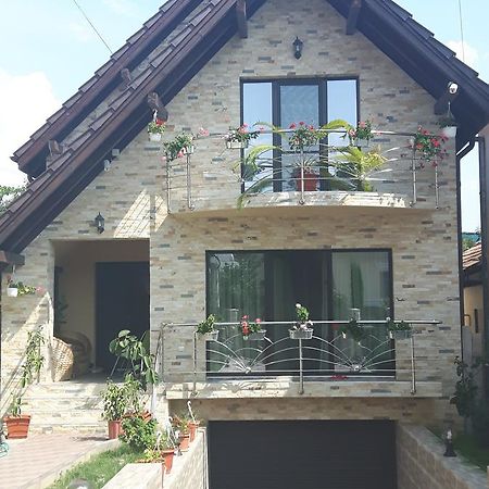Vila Alexia Hotel Calimanesti Exterior photo