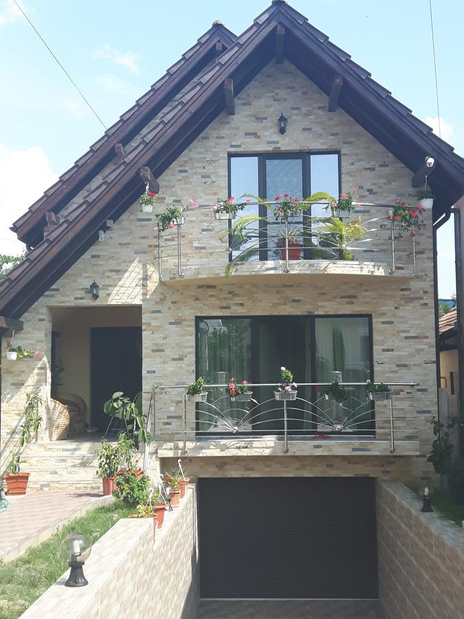 Vila Alexia Hotel Calimanesti Exterior photo