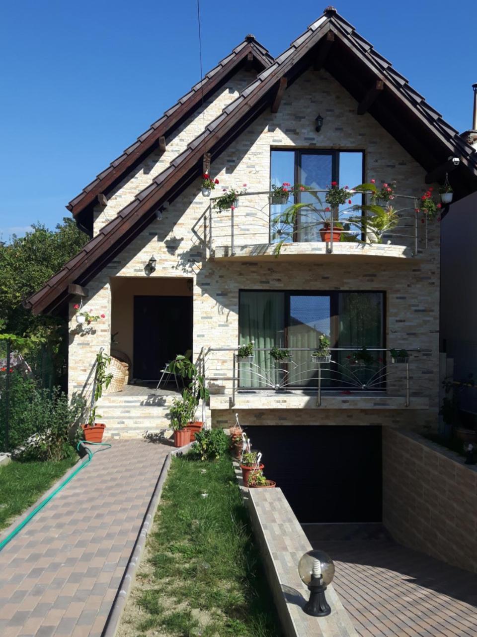 Vila Alexia Hotel Calimanesti Exterior photo