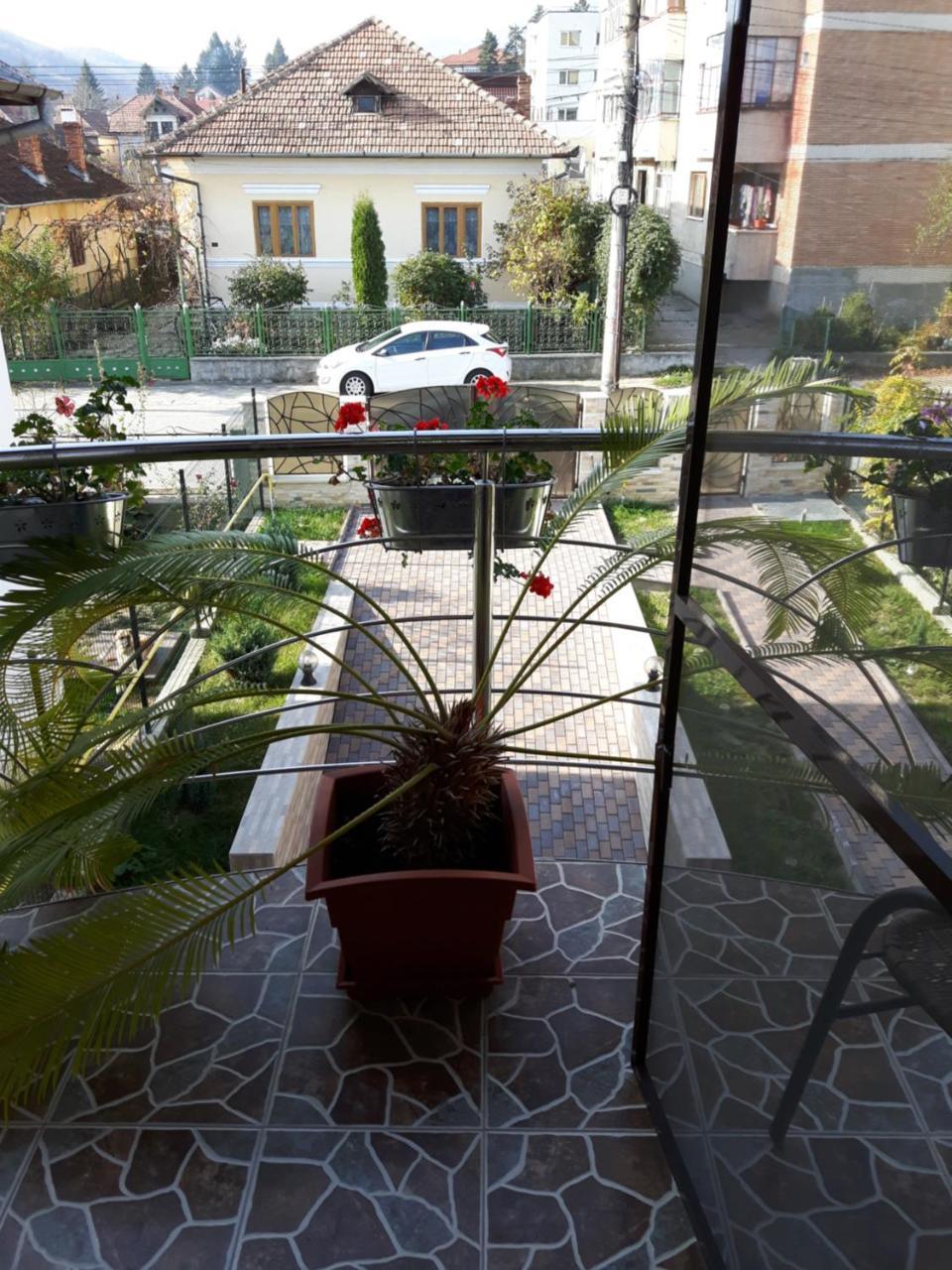Vila Alexia Hotel Calimanesti Exterior photo