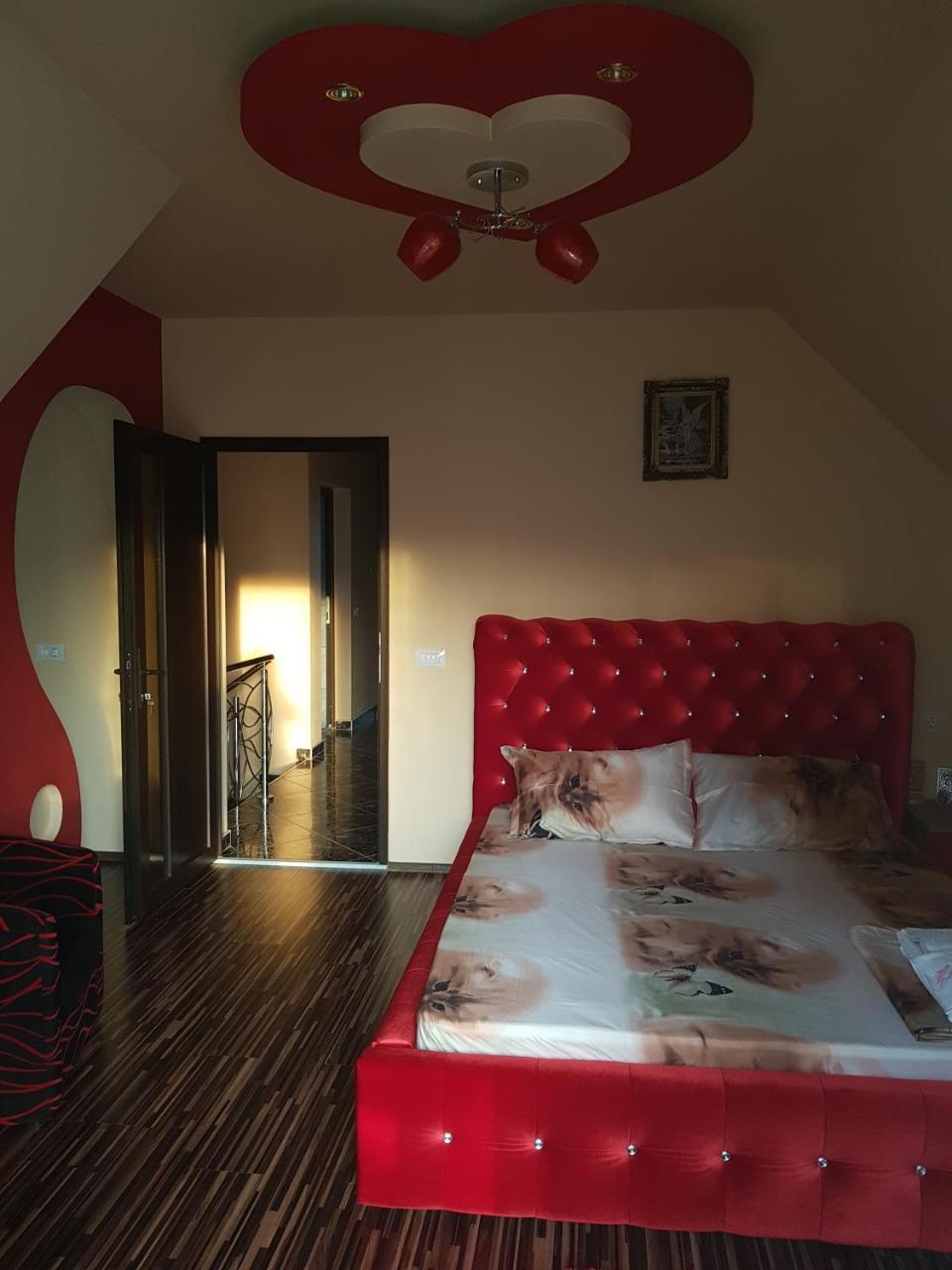 Vila Alexia Hotel Calimanesti Exterior photo