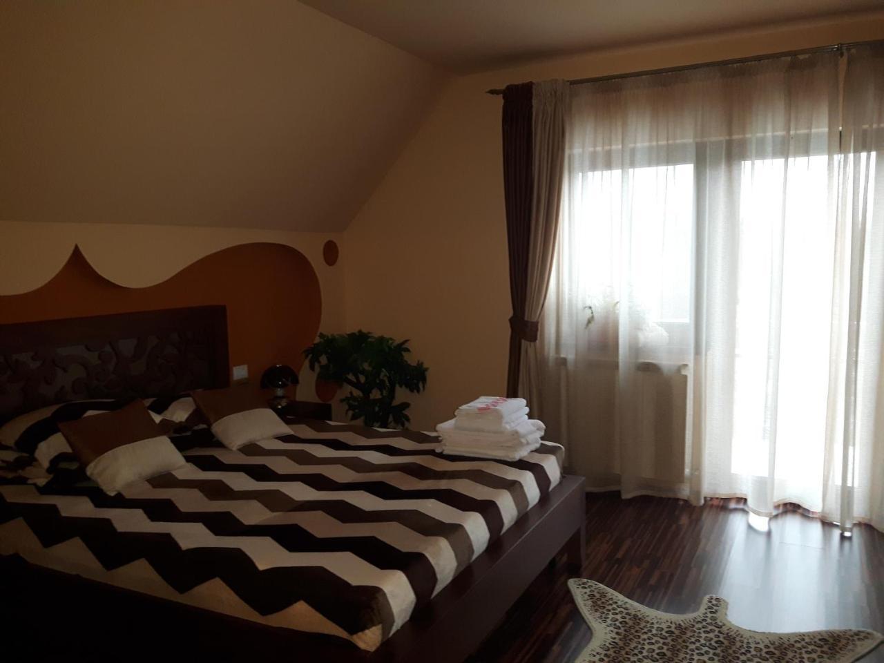 Vila Alexia Hotel Calimanesti Exterior photo