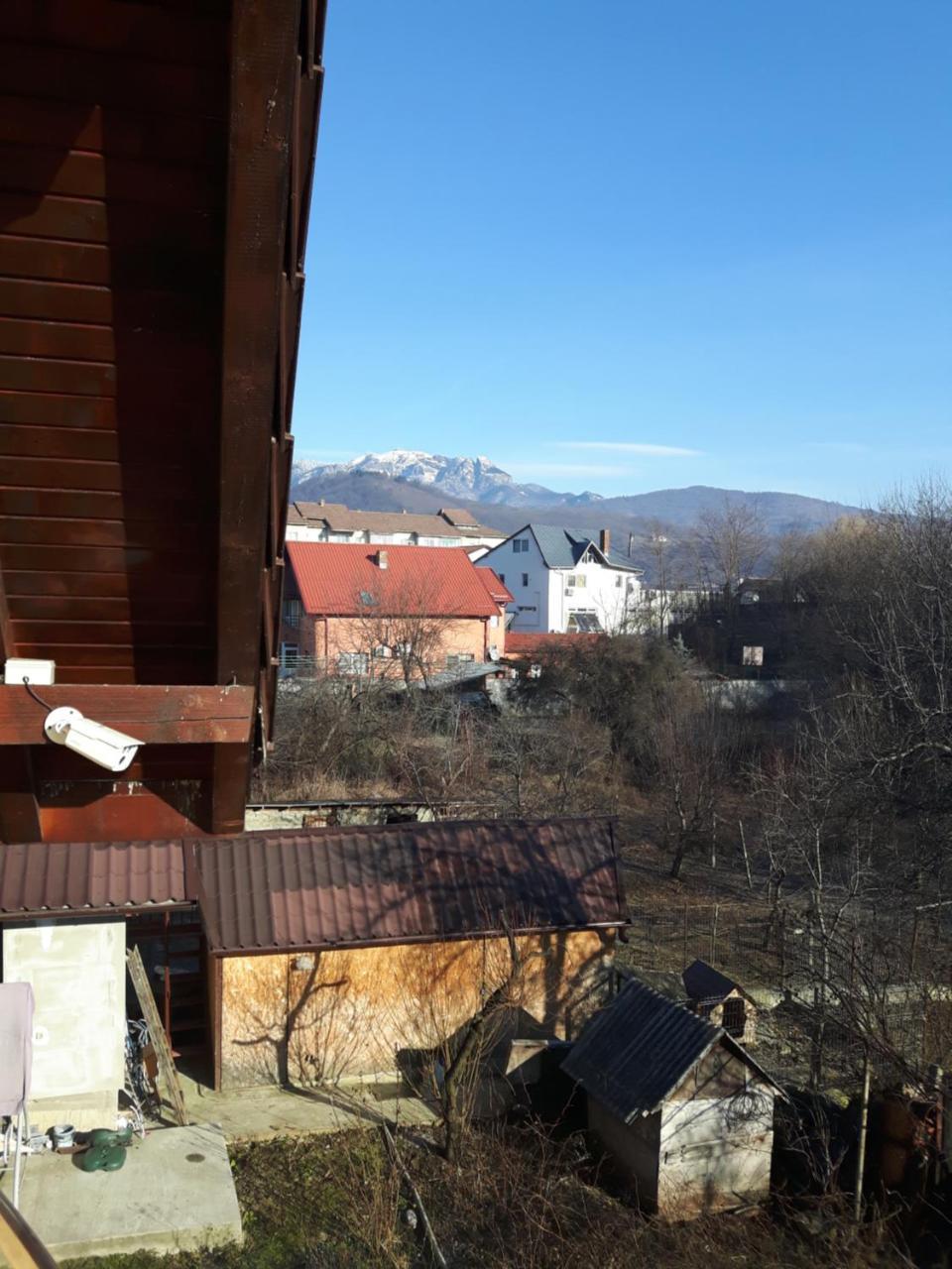 Vila Alexia Hotel Calimanesti Exterior photo